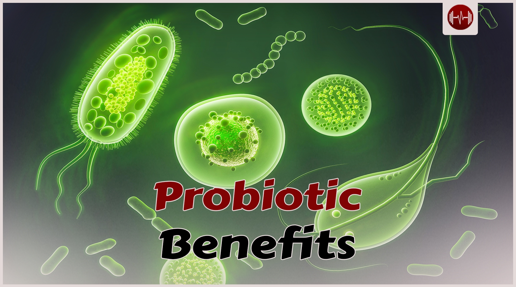 Probiotics: treat digestive problems and enhance your immune system