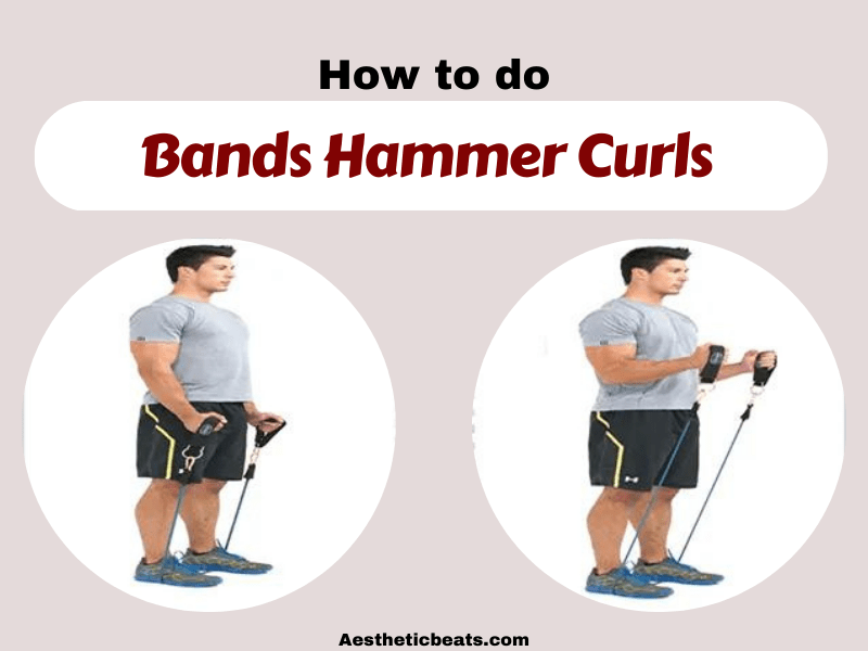 Bands Hammer Curls - Biceps exercise - aestheticbeats