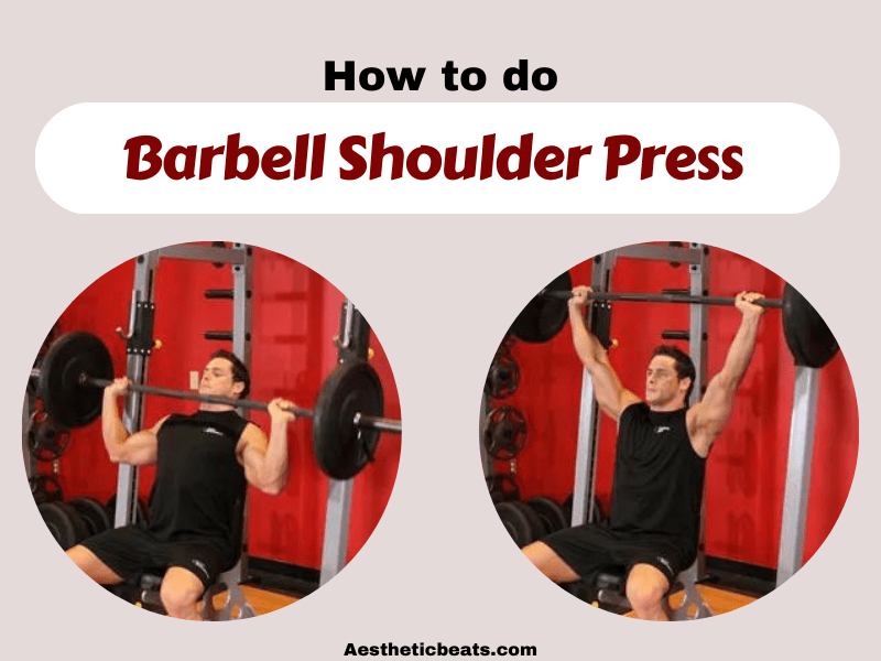 Barbell Shoulder Press - Shoulders exercise - aestheticbeats