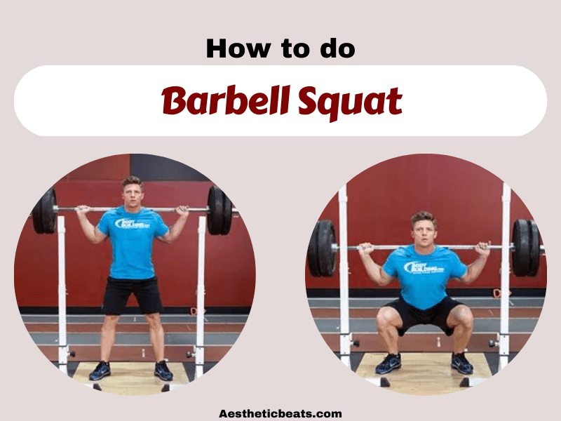 Barbell Squat - Legs exercise - aestheticbeats