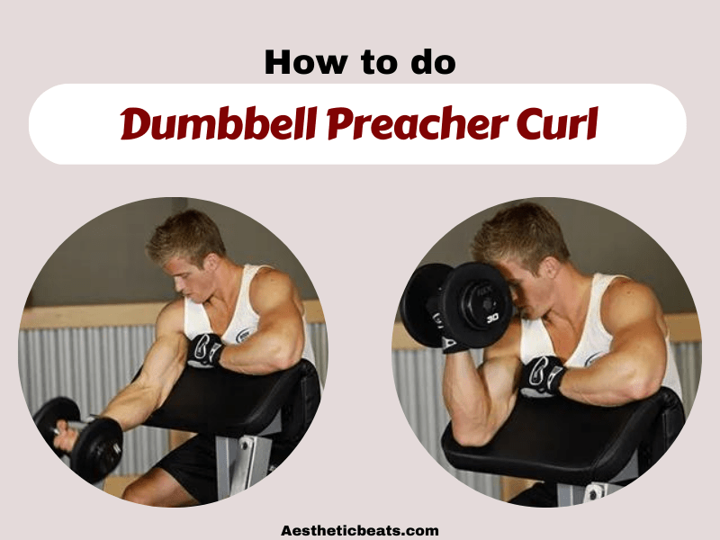 Dumbbell Preacher Curl - Biceps exercise - aestheticbeats