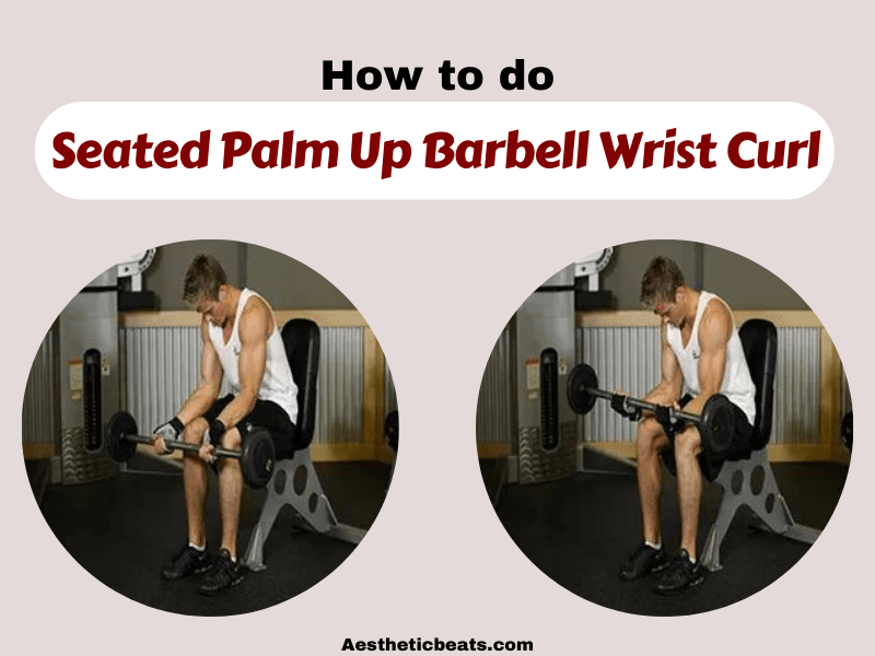 Seated Palm Up Barbell Wrist Curl Forearms Exercise Aestheticbeats 0678