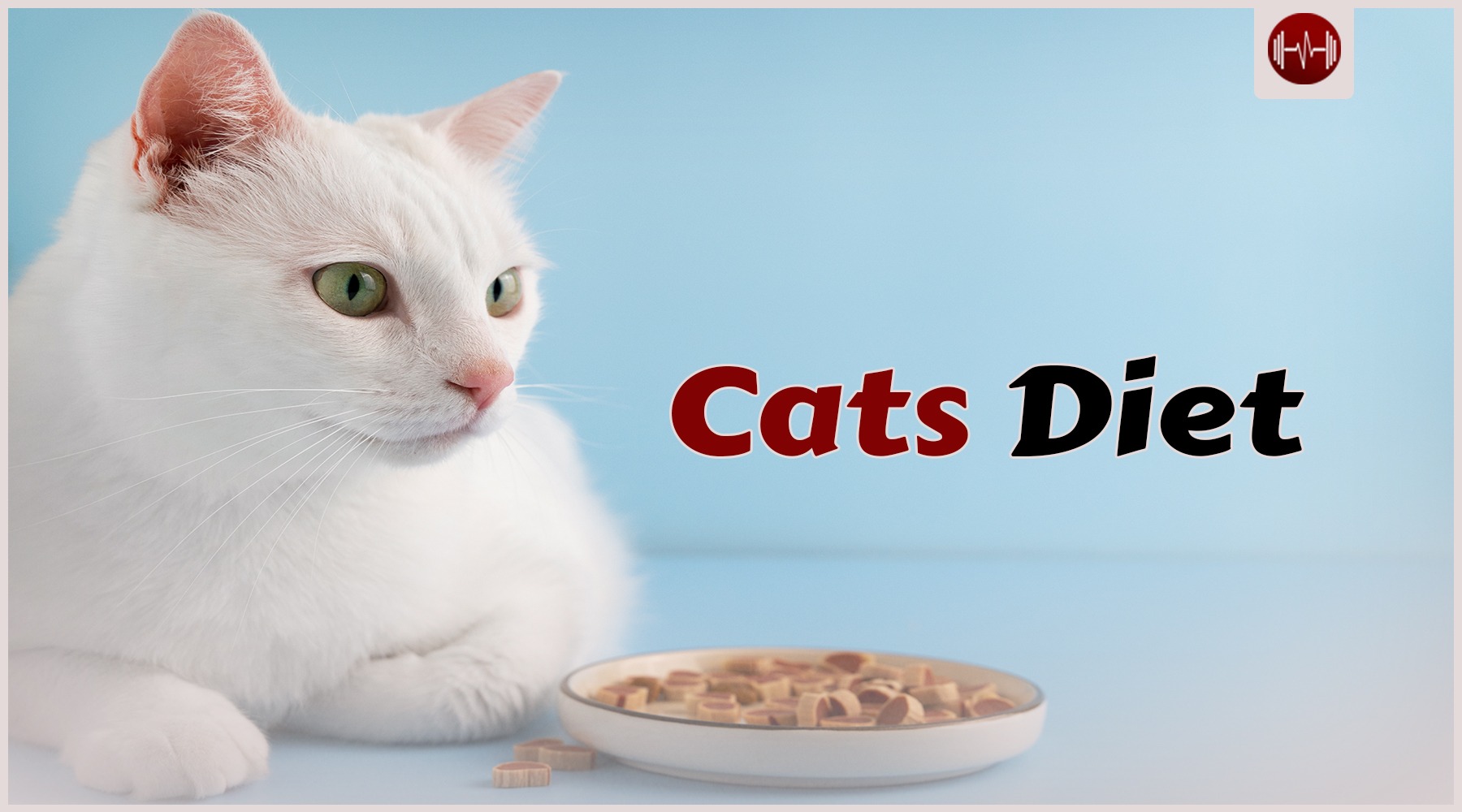 The Best Cats Diet: What to Feed Your Feline Friend