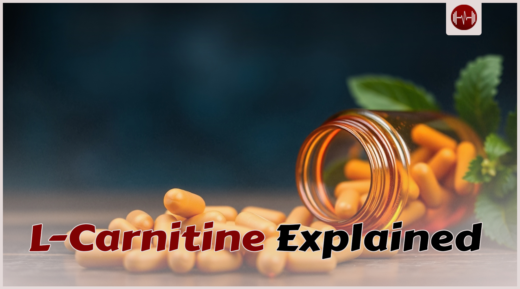 L-Carnitine Explained: Burn Fat With This Supplement